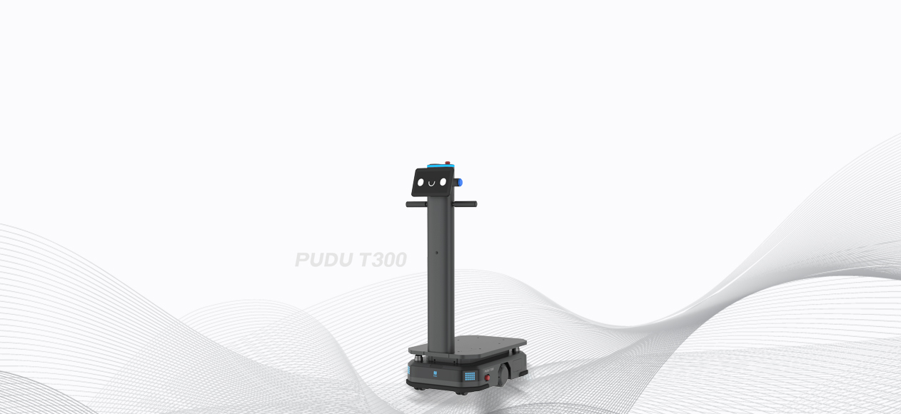 T300